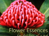 Flower Essences For Loss of a Pet