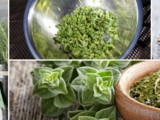 Marjoram Substitute Ideas: Top Tricks For Saving Your Recipe