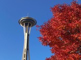 Seattle’s 34th Annual Festa Italiana