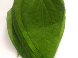 Vetrilai in English | TamalaPaku | Betel Leaf Uses