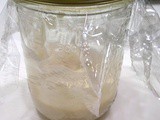 Bread Whore ~ The “Not Quite Sourdough ” Starter