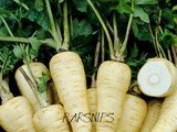 Curb Market Crawl – Persnickety Parsnips