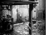 The Potting Shed