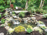 Diy Backyard Waterfall