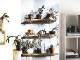 Floating Shelf Decor