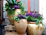 Ideas For Large Flower Pots