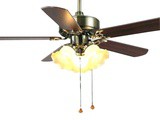 Modern Fan With Light