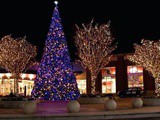 The Grove Tree Lighting 2017