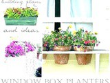 Window Planter Box Ideas