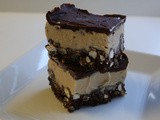 Nanaimo Ice Cream Bars