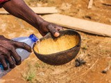 Backpacking from Accra to Cape Coast: Palm wine at the Kakum Park