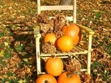 Pumpkin jam, pumpkin sauce & roasted pumpkin soup