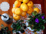 Putting by the perfect 'pot' of marmalade