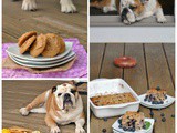 Food Blogging with a Dog (vol. 3)