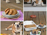 Food Blogging with a Dog (vol. 3)