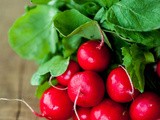 Radish & Feta Salad