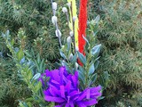 Niedziela Palmowa
