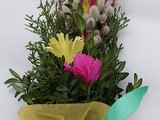 Niedziela Palmowa