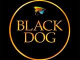 Best Scotch In The World - Black Dog Scotch