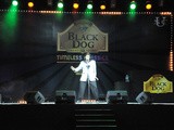 Black Dog And a Tribute To Elvis Presley