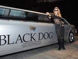 Black Dog Madonna Forever