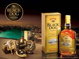 Take Your Time To Savour Black Dog Scotch