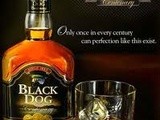 The History of Black Dog Scotch
