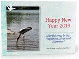 New Year Greetings