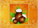 Pongal Greetings