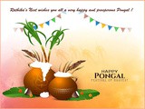Pongal Greetings