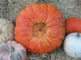 Happy Halloween Pumpkin Smoothie
