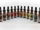 Medicine Flower Extract Holiday Giveaway!!! ($66 Retail Value)