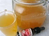 Water Kefir Workshop - December 7, 2013