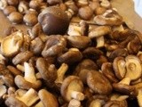 Lactofermented Mushrooms