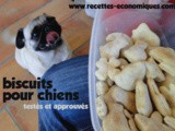 Biscuits pour chien maison