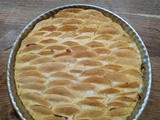 Tarte aux pommes sans pâte au thermomix