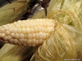 Oven Roasted Corn