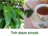 Cara Mengolah Daun Sirsak Menjadi Minuman Sehat Anti Kanker