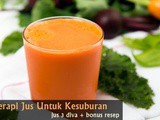 Terbukti! Terapi Jus Untuk Kesuburan Agar Cepat Hamil