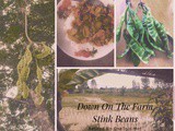 Down on the Farm…Spicy Pork with Stinky Beans( Mu Baan Phat Prik Sa Tor)