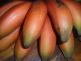 Fruity Friday…The Red Banana