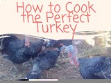 How to Cook the Perfect Turkey