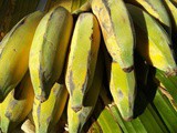 National Banana Bread Day and National Dog Biscuit Day