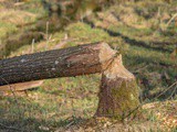 Recycling and Climate Change… 20th July 2020