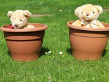 Recycling and Climate Change…30th March 2020…a new world
