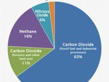 Recycling and Climate Change…3rd February 2020…Nature-based solutions and Jute Bags