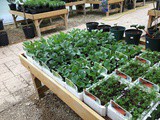 Recycling and Climate Change…9th March 2020