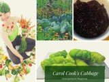 Smorgasbord Blog Magazine – The Cookery Column Retro with Carol Taylor – #Cabbage – Stuffed, Red pickled, ‘Pasta’ dishes