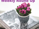 Smorgasbord Blog Magazine – Weekly Round Up – Cathaoireacha, Cats, More Cats, Irises and Beans