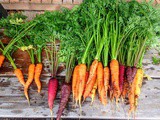 Smorgasbord Health Column Rewind – Cook From Scratch with Sally and Carol – Carrots from Afghanistan